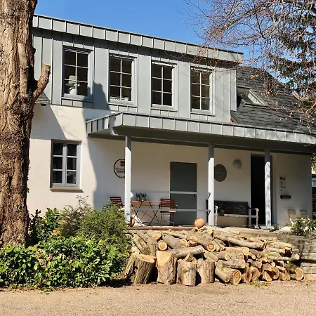 Ferienwohnung Weingut Villa Huesgen Am Moenchhof Traben-Trarbach Exterior photo